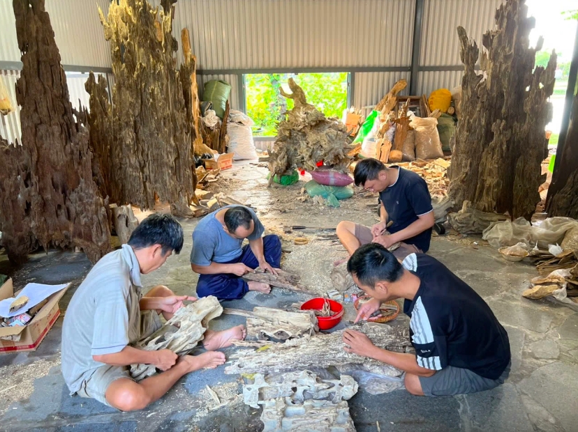 Tri thức khai thác và chế biến Trầm Hương Khánh Hòa được công nhận là Di sản văn hoá phi vật thể quốc gia