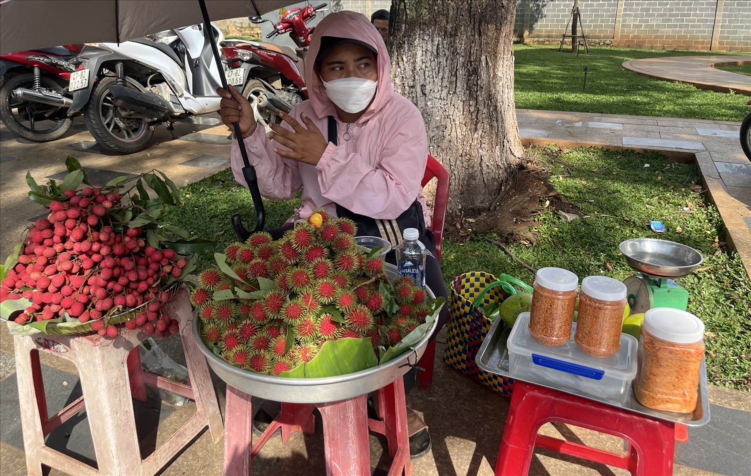 Chị em người DTTS bày bán quả rừng nhiều nơi 