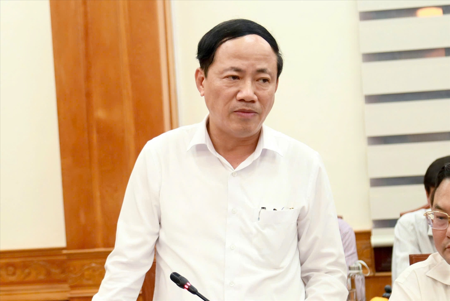 Ông Phạm Anh Tuấn, Chủ tịch UBND tỉnh Bình Định phát biểu tại buổi làm việc