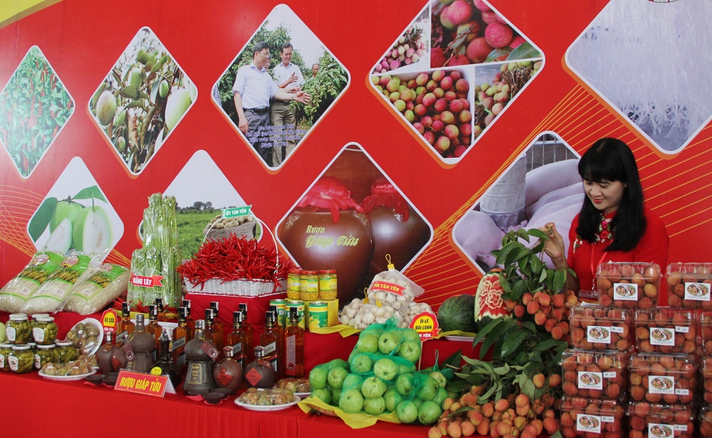 Chương trình OCOP cũng đã góp phần tạo việc làm, tăng thu nhập cho người dân, góp phần thúc đẩy phát triển kinh tế nông thôn ở Bắc Giang