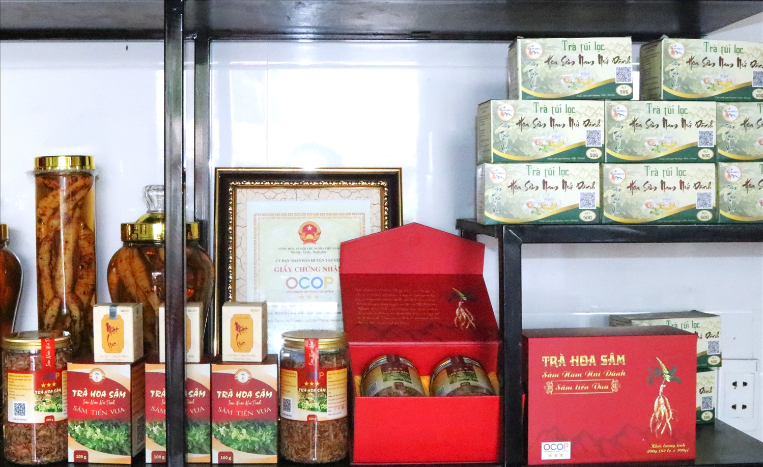Trong trà hoa sâm nam núi Dành chứa hoạt chất saponin có giá trị dược lý cao, giúp bồi bổ sức khỏe, nâng cao hệ miễn dịch, phòng ngừa bệnh tật, và hỗ trợ điều trị một số bệnh lý