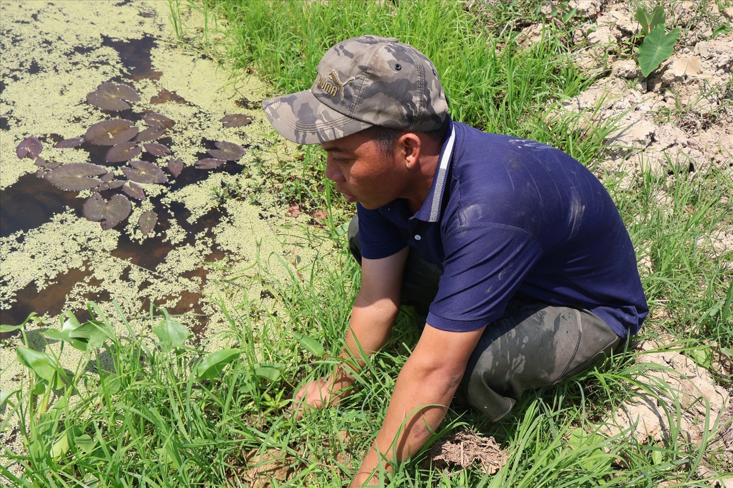 Anh Lương Giang Châu sẵn sàng chia sẻ kinh nghiệm, mô hình nuôi ốc bươu đen cho những người có cùng đam mê khởi nghiệp.