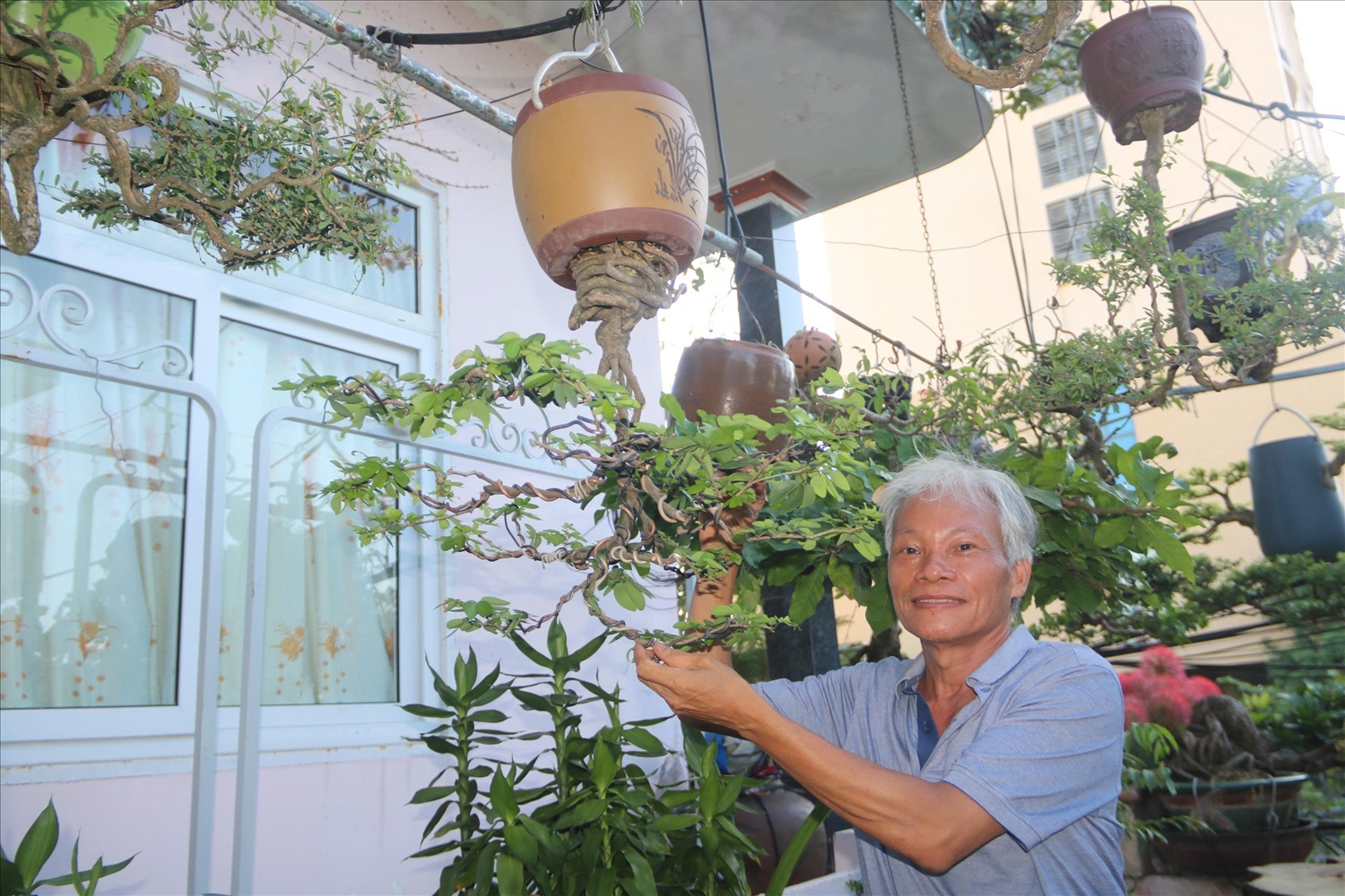 Một chậu bonsai ngược có tán ngang mà Nghệ nhân Lê Thạnh vô cùng tâm đắc. (Ảnh Huy Trường).