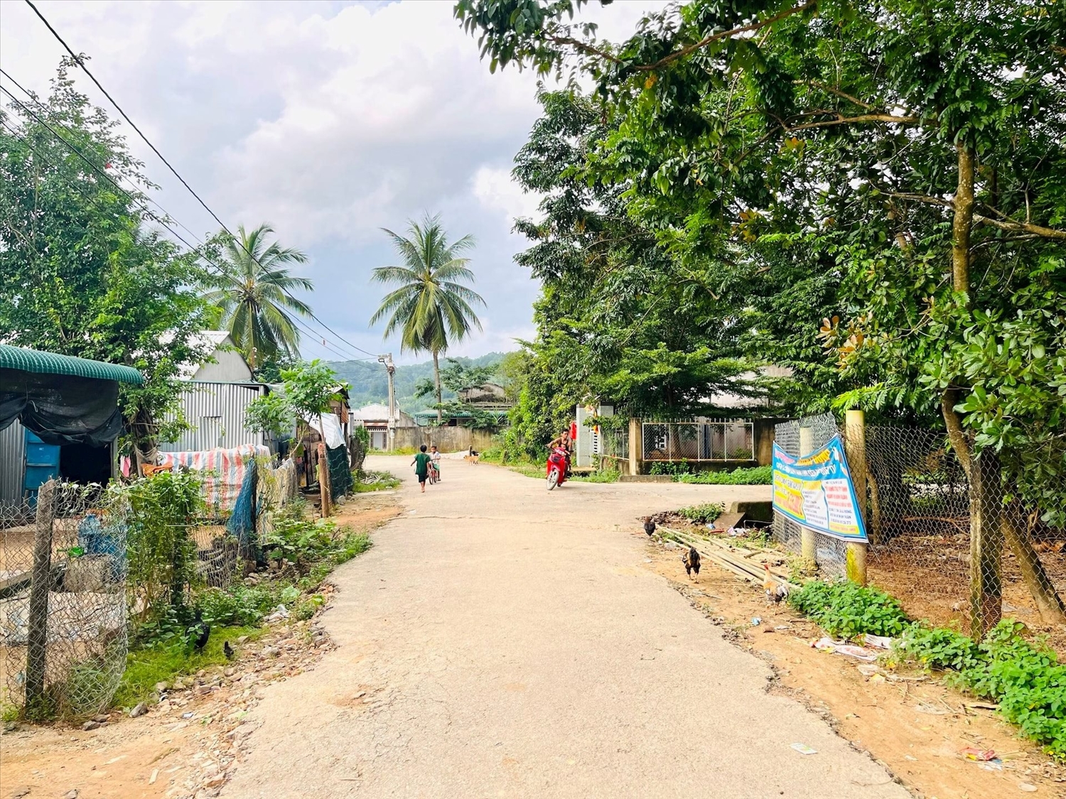 Một góc khu dân cư Tân Thành, huyện Tánh Linh.
