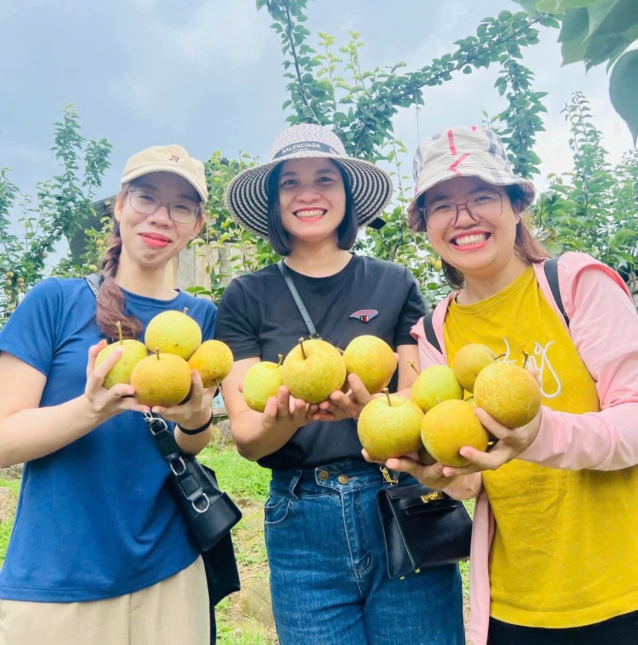 Niềm vui của du khách khi tận tay hái và thưởng thức những quả lê căng mọng ngay tại đồi