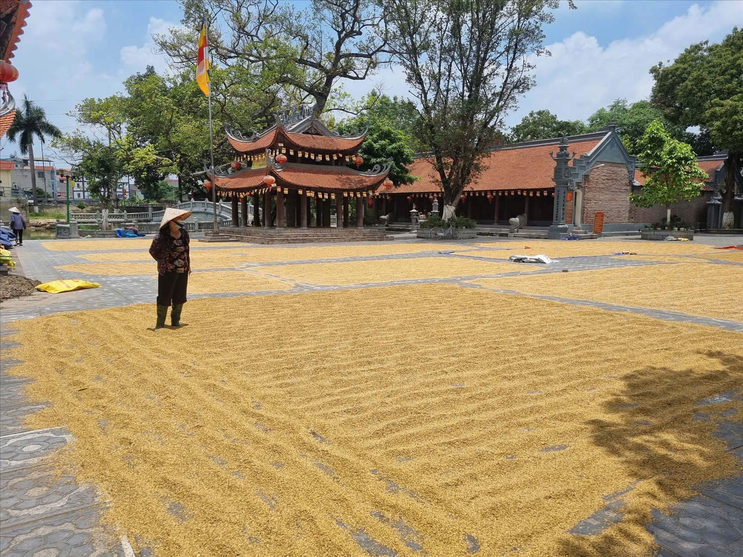 Quần thể di tích đình, đền, chùa làng Đồng Kỵ gắn bó mật thiết với đời sống hằng ngày, là nơi sinh hoạt văn hóa tín ngưỡng của Nhân dân địa phương. 