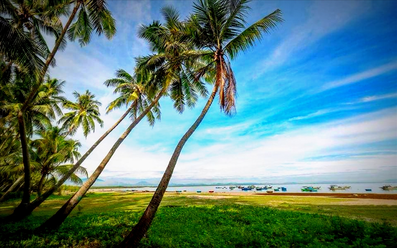 Trong định hướng mới, Tam Hải sẽ phát triển du lịch sinh thái, tạo sinh kế bền vững cho người dân.