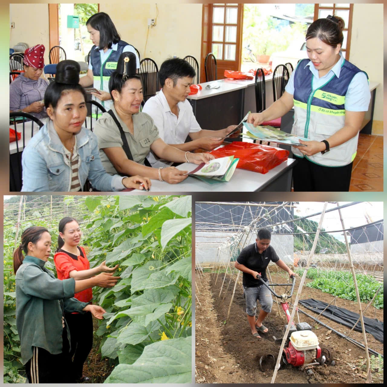 Cán bộ Trung tâm Kỹ thuật nông nghiệp tỉnh hướng dẫn nông dân (Sơn La) vùng bị ảnh hưởng mưa lũ chuyển đổi mô hình canh tác rau màu. Ảnh: ITN