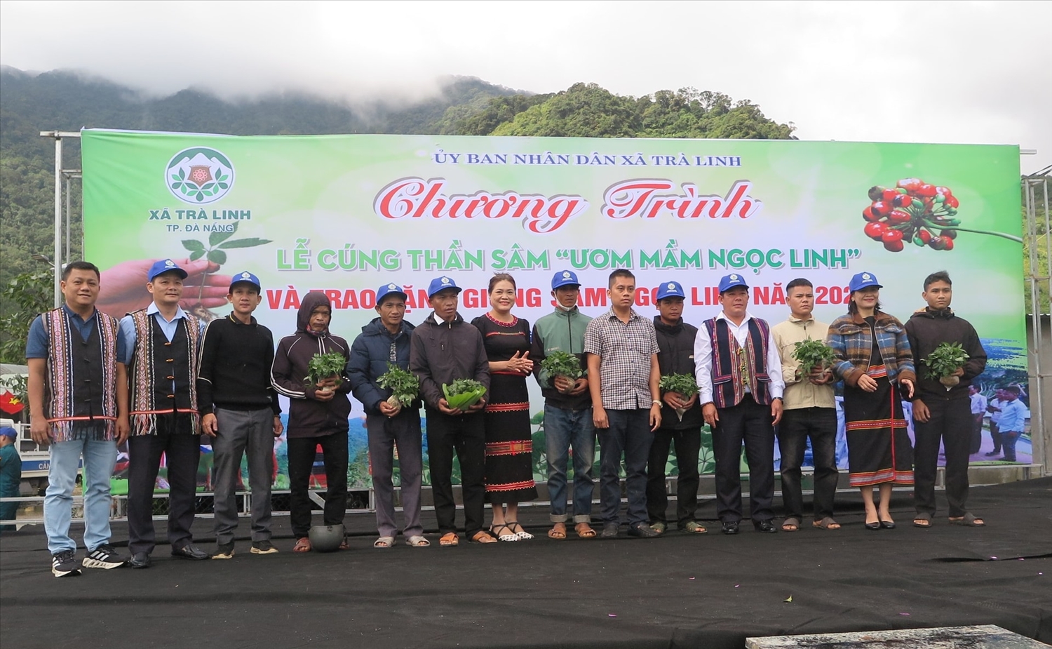 Hơn 7.000 cây sâm Ngọc Linh giống được tặng cho các hộ nghèo. (Ảnh Nam Trung).