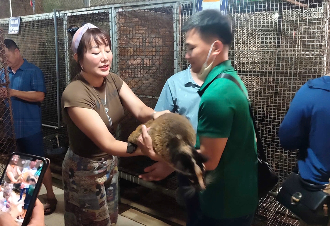 Các học viên tìm hiểu cách chăm sóc nuôi chồn hương thương phẩm
