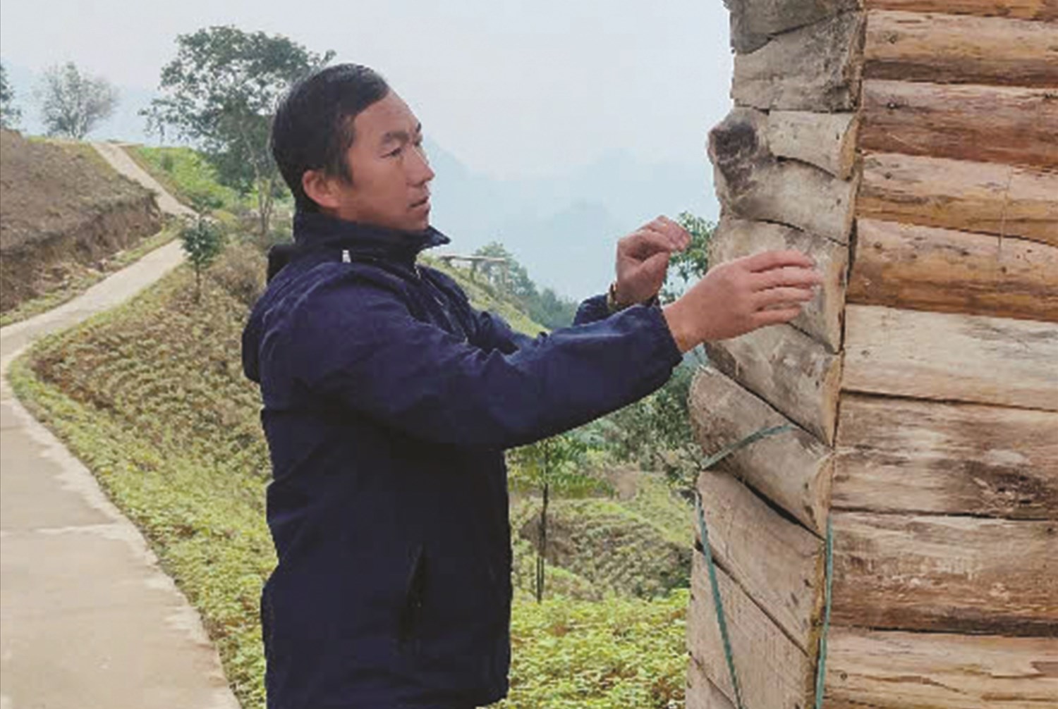 Anh Cư Seo Giả chỉnh trang cổng vào đồi hoa tam giác mạch