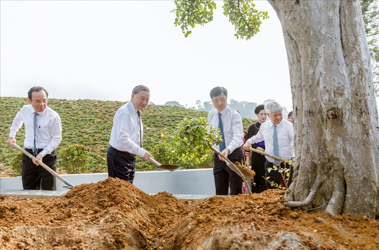 Tổng Bí thư Tô Lâm trồng cây lưu niệm trong khuôn viên Tượng đài "Bác Hồ ở Tân Trào". Ảnh: Vũ Mừng
