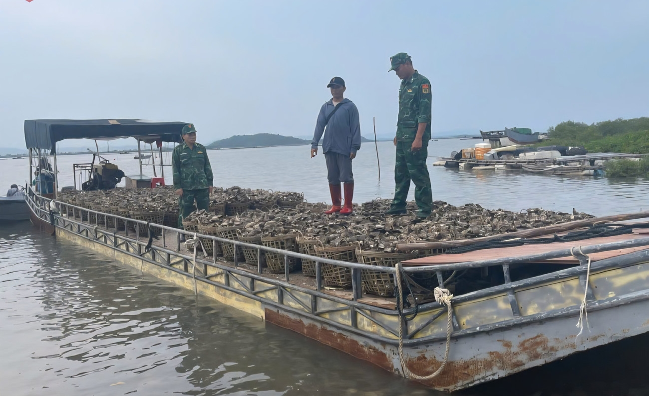 Bộ đội Biên phòng Trà Cổ bắt giữ 4 tấn hàu nhập lậu từ Trung Quốc bằng đường biển