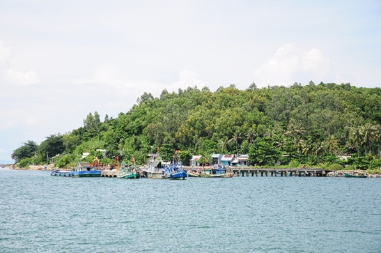 (Ảnh minh họa)