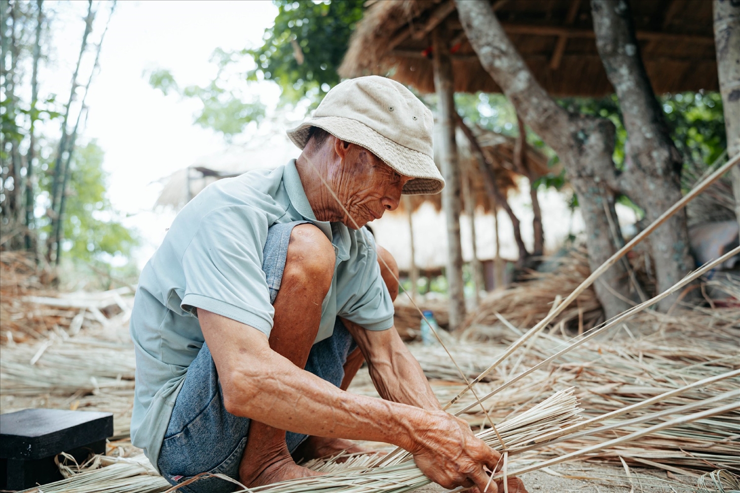 (bài CTV) Miên man Gò Cỏ 2