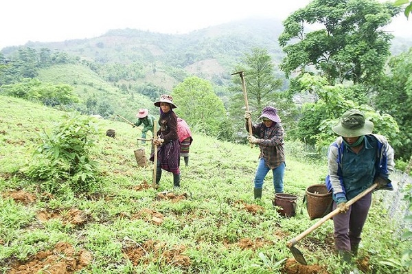 Nghị định 226/2025/NĐ-CP có hiệu lực từ ngày 15 tháng 8 năm 2025.