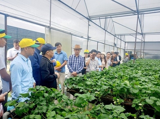 Nghị quyết 68 được kỳ vọng sẽ trở thành động lực quan trọng đưa Việt Nam vươn lên mạnh mẽ trong giai đoạn mới (Ảnh minh họa)