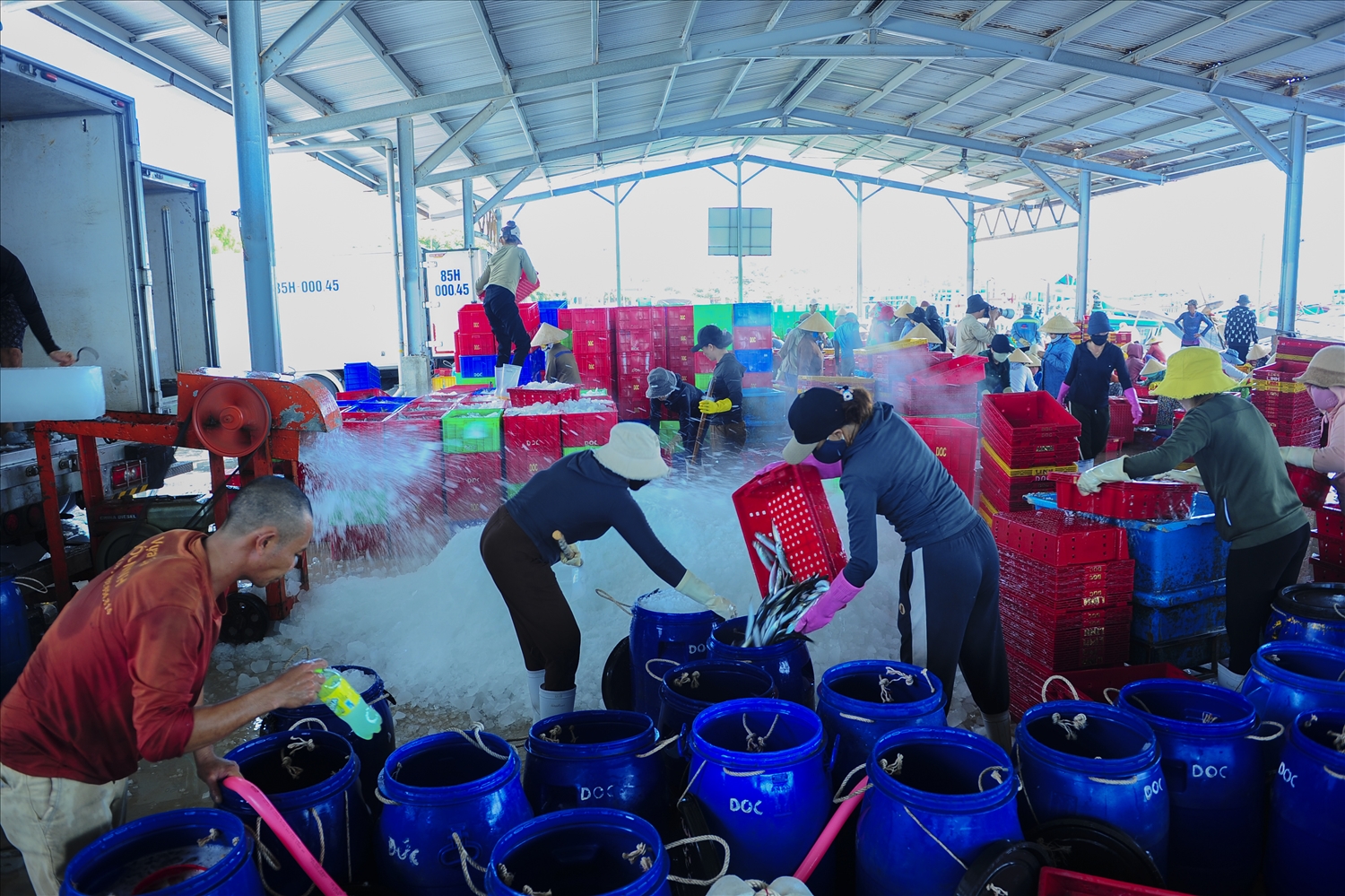 Trên bờ, những thùng hàng đông lạnh được ướp, bảo quản gửi đi khắp nơi.