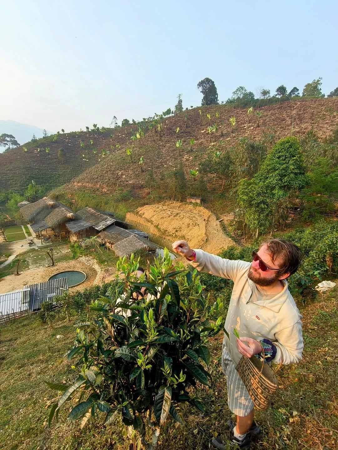 Du khách nước ngoài trải nghiệm hái chè Shan tuyết trên nương đồi Bản Liền - một “đặc sản” của vùng đất người Tày.