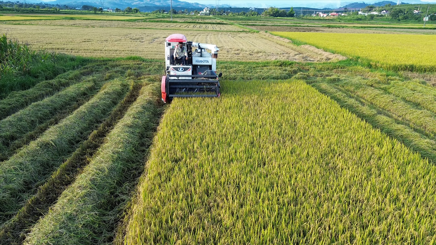 Nông dân xã Đăk Hà đẩy mạnh ứng dụng cơ giới hóa nông nghiệp. (Ảnh: Ngọc Chí)