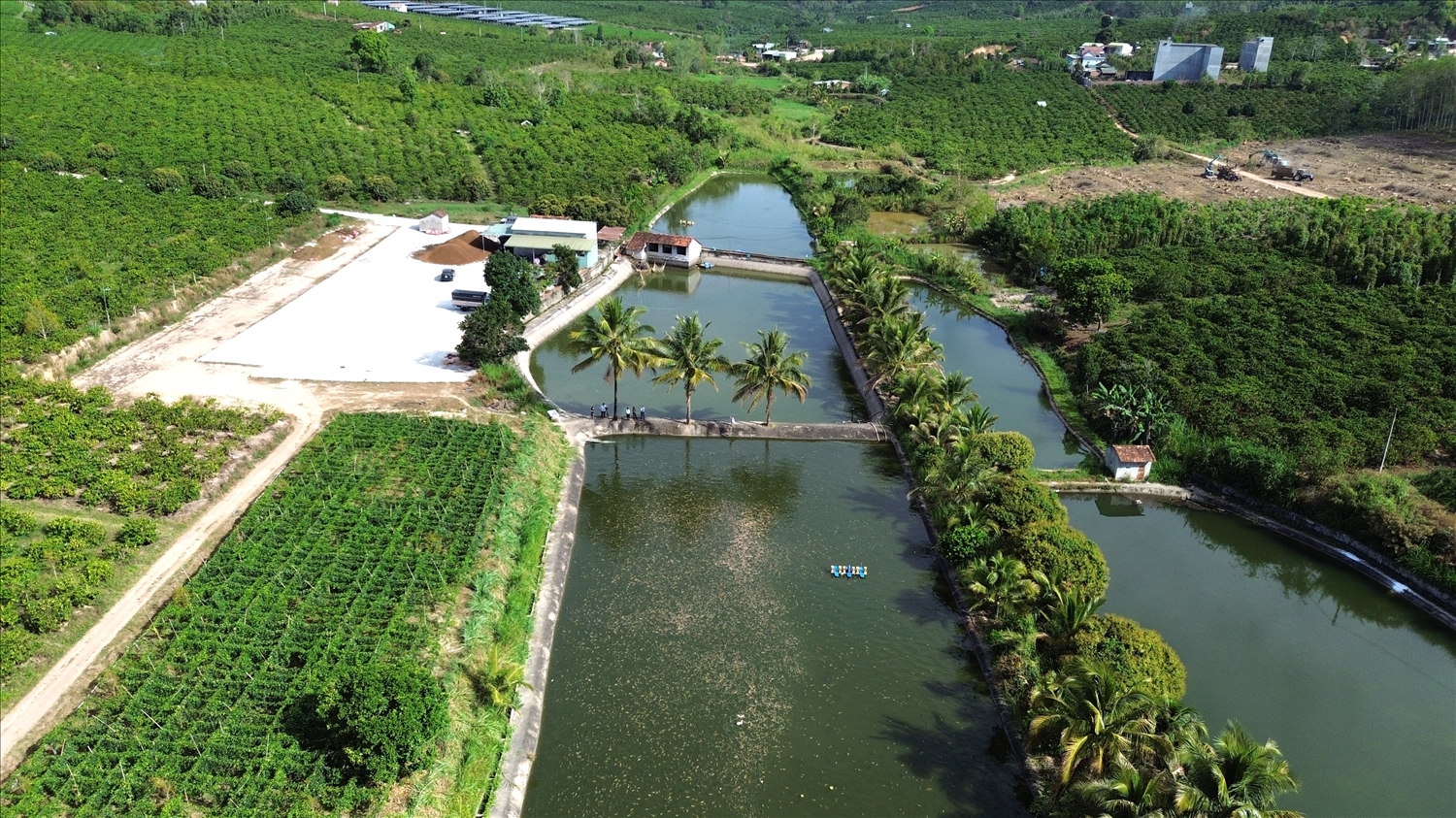 Xã Đăk Hà đã hình thành nhiều trang trại sản xuất nông nghiệp theo hướng hữu cơ, sinh thái và tuần hoàn. (Ảnh: Ngọc Chí)