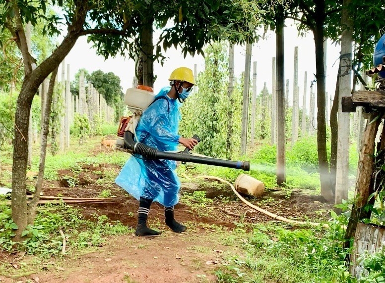 Các địa phương tăng cường công tác vệ sinh môi trường, phun hoá chất, diệt lăng quăng/bọ gậy bằng chủ động phòng bệnh SXH