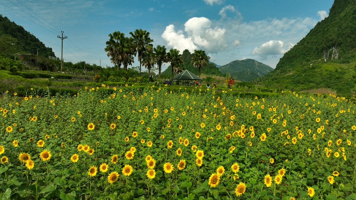 Một góc thung lũng thôn Khai Trung, xã Tản Lĩnh