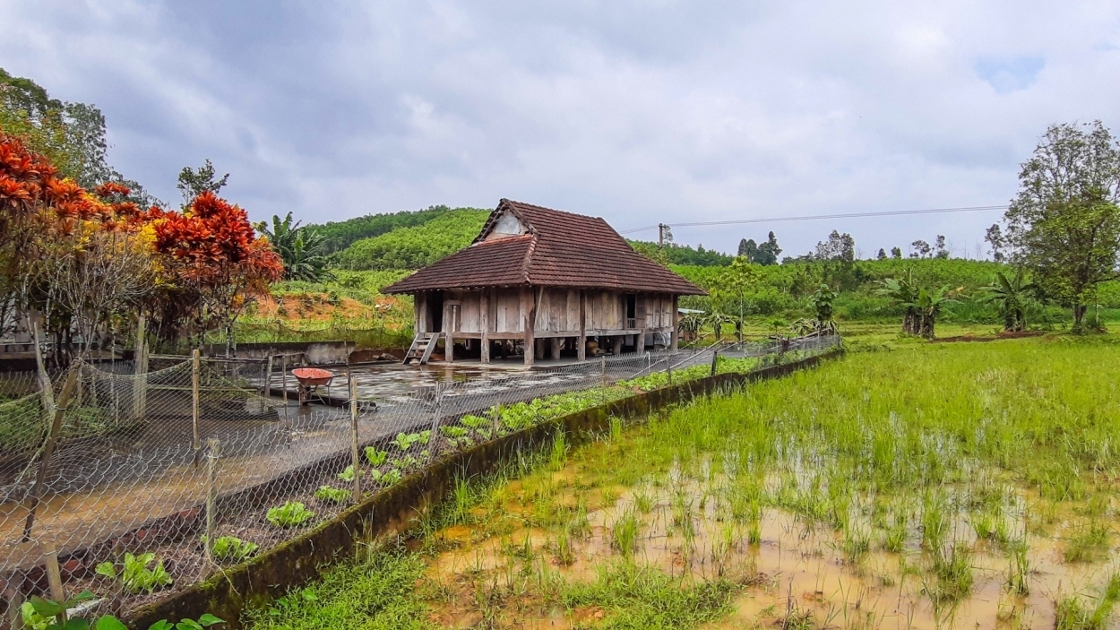 Những ngôi nhà sàn truyền thống của người Mường giữa núi rừng tạo nên khung cảnh rất nên thơ (Ảnh T.N)