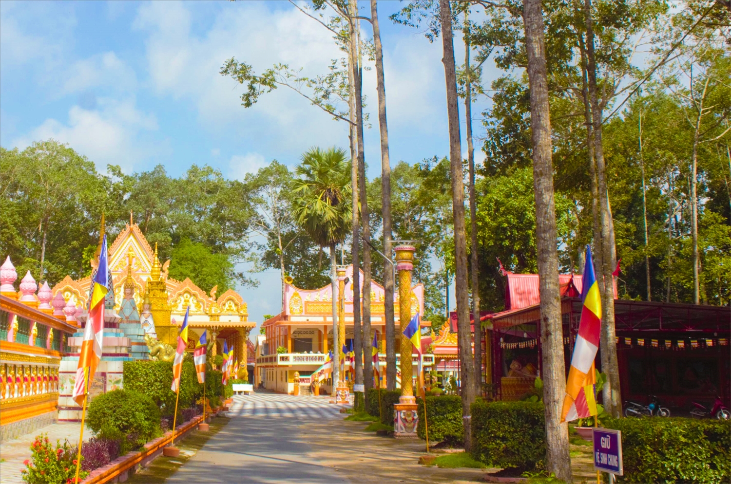 Phần lớn diện tích chùa được phủ xanh bởi hàng trăm cây sao to, cao ngộp trời. Nhiều cây sao được trồng một hàng dài trong khuôn viên chùa có trên 100 năm tuổi.