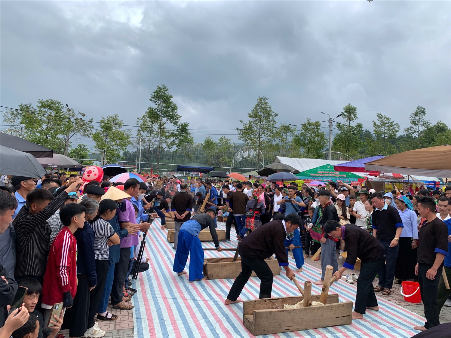 Giã bánh của đồng bào Mông (ảnh Trọng Bảo)
