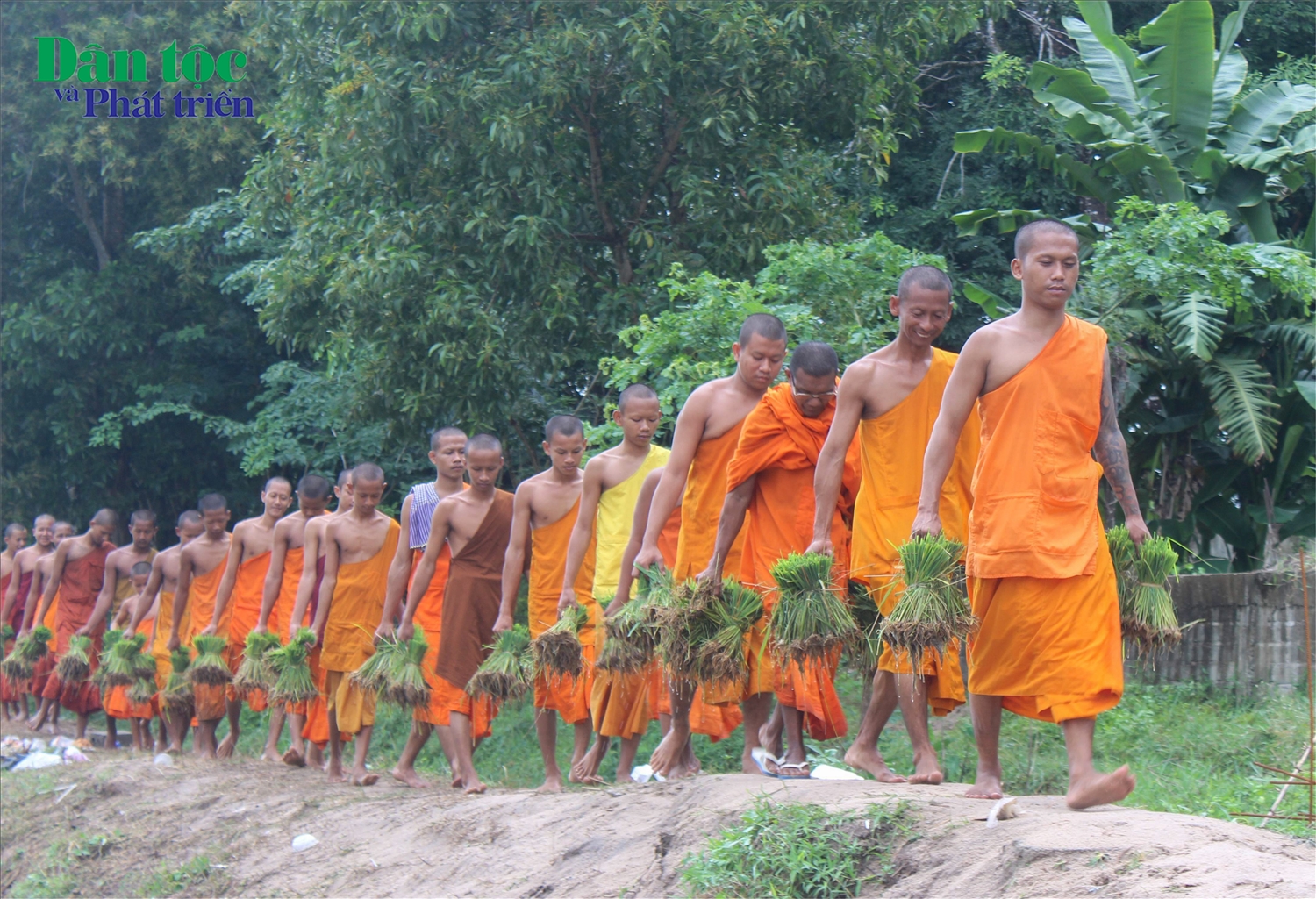 (Ảnh) Kịch tính những màn rượt đuổi trong giải đua bò của đồng bào Khmer tại chùa Rô 9