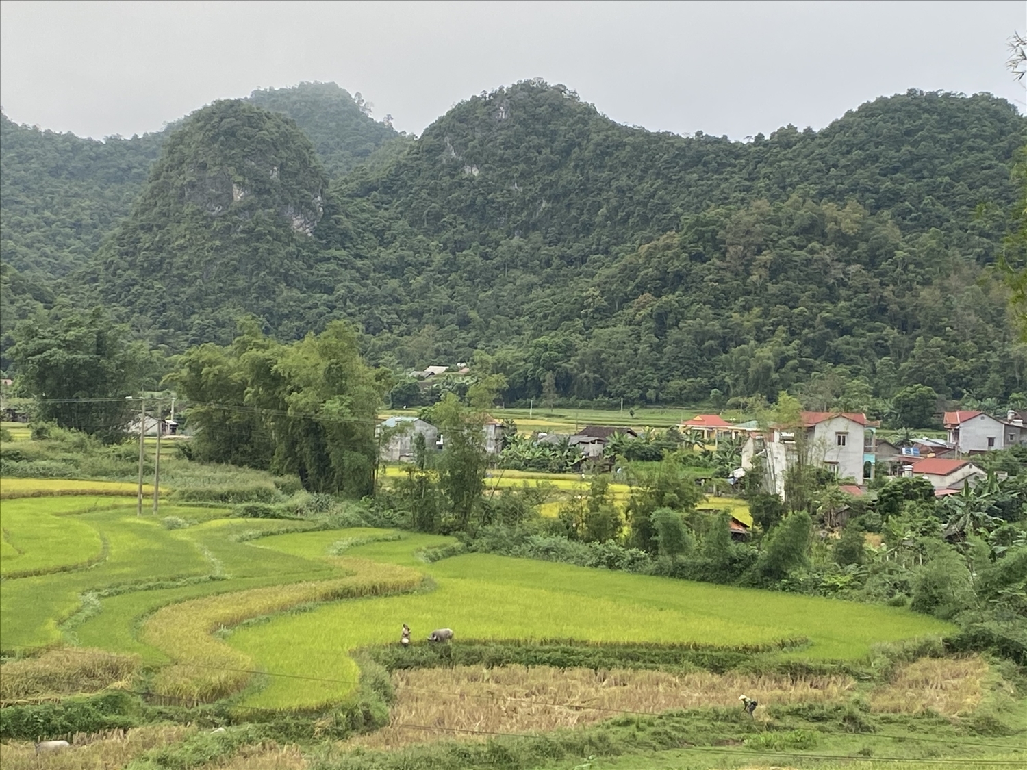 Với những đóng góp của Người có uy tín, đời sống kinh tế - xã hội vùng đồng bào DTTS tỉnh Cao Bằng đã có những chuyển biến tích cực. 