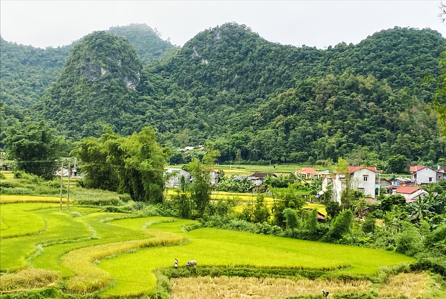 Với những đóng góp thiết thực của đội ngũ Người có uy tín, khu vực biên giới, vùng đồng bào DTTS đã và đang có những bước chuyển đáng mừng