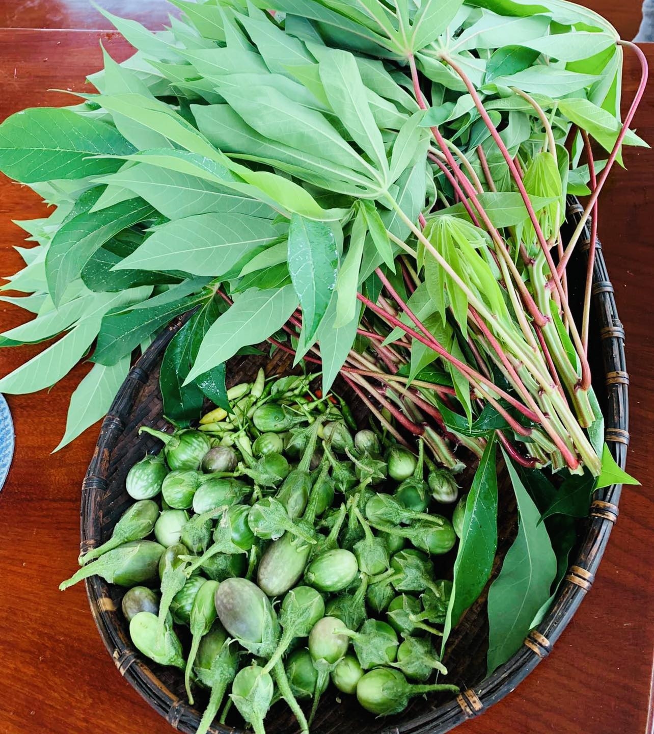 Cà đắng món “đỉnh” của ẩm thực người Ê Đê.