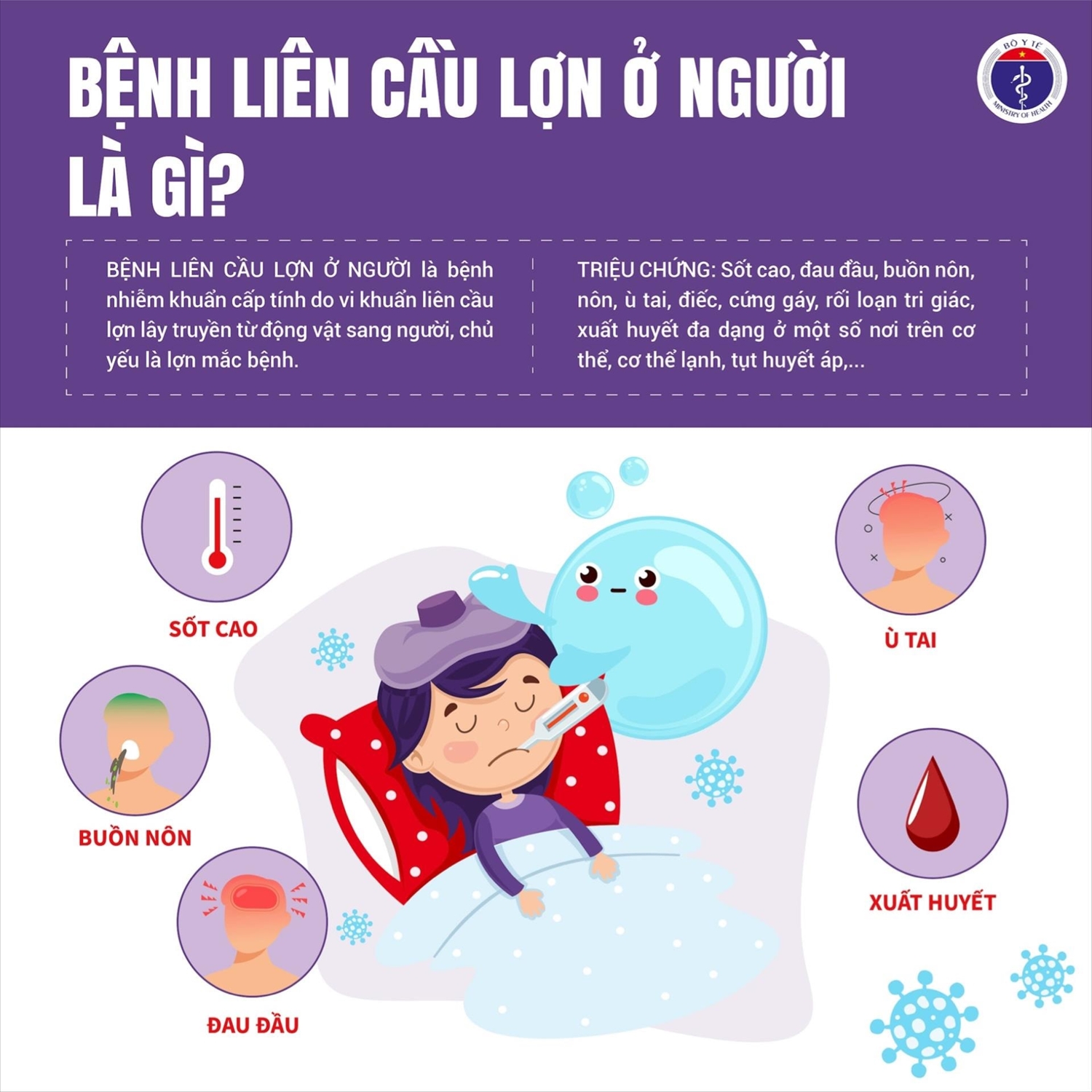 Bộ Y tế đề nghị các tinh, thành phố tăng cường công tác phòng chống liên cầu lợn sang người