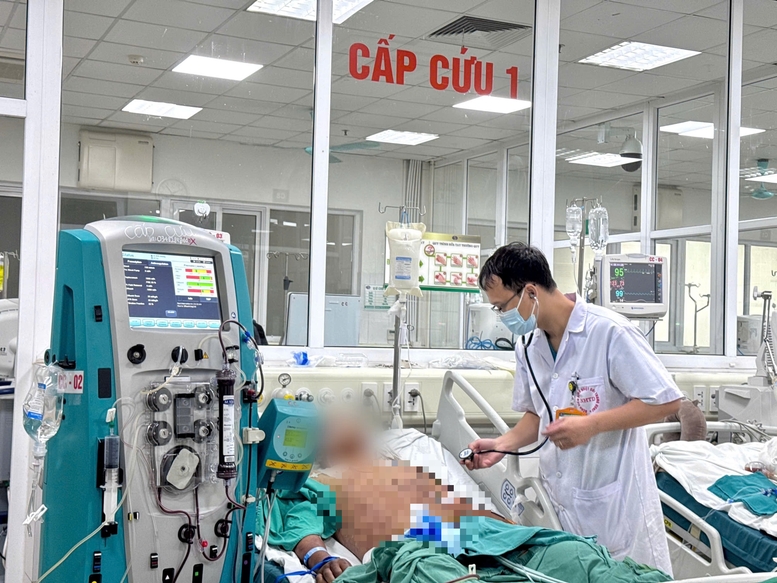 Bệnh liên cầu lợn do Streptococcus suis (S.suis) gây nên, là bệnh lây truyền từ động vật sang người và có thể gây tử vong. Ảnh Minh họa