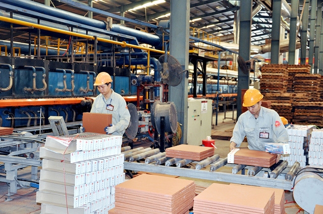 Doanh nghiệp tư nhân có thể tham gia vào nhiều lĩnh vực của đời sống xã hội (Ảnh minh họa).