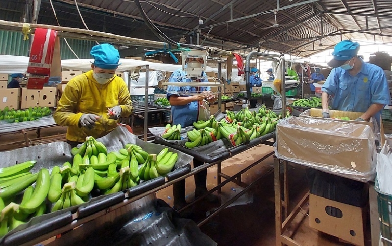 Thủ tướng Phạm Minh Chính cho rằng phải tin tưởng giao việc cho khu vực kinh tế tư nhân (Ảnh TL)