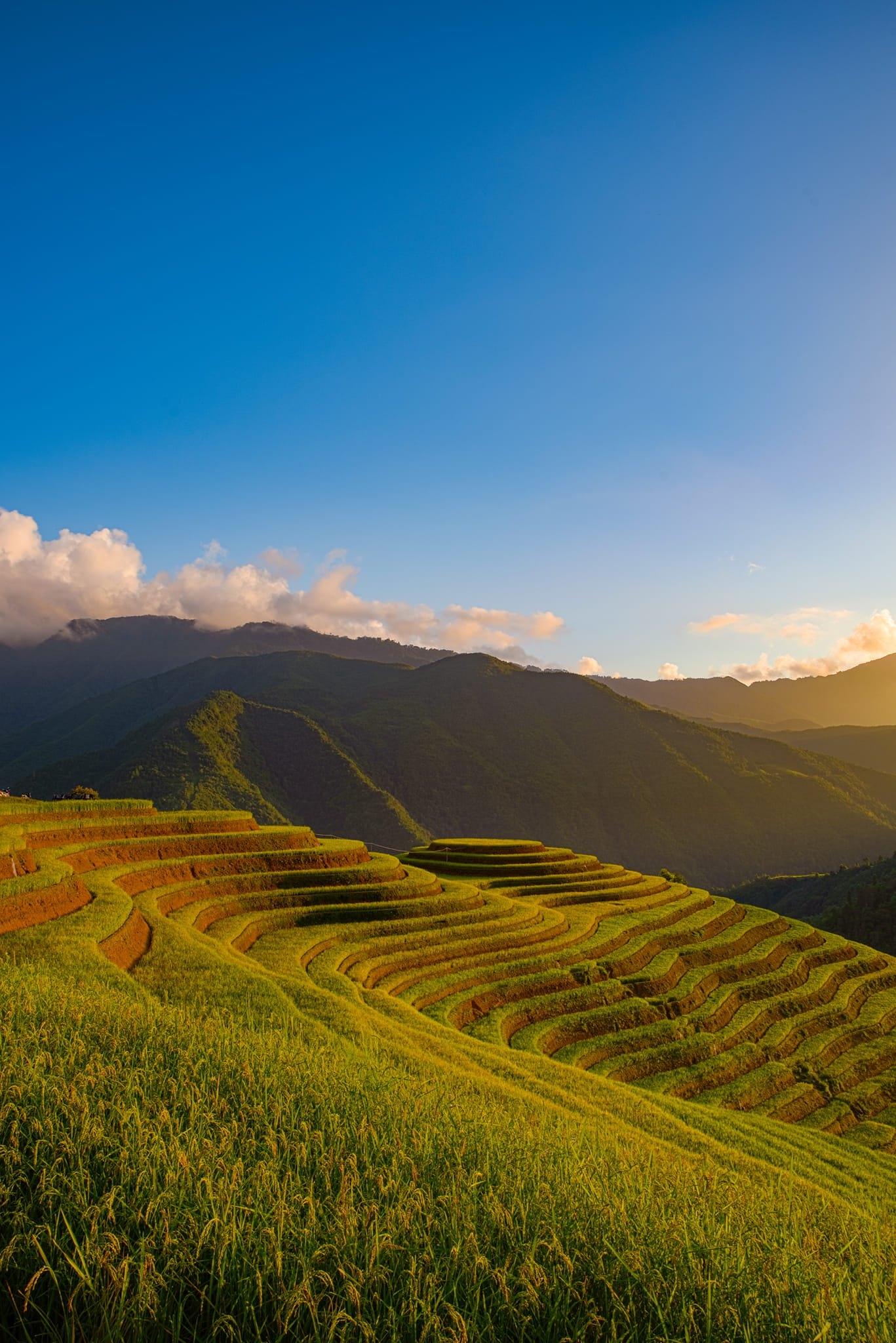 Kiệt tác ruộng bậc thang Mù Cang Chải