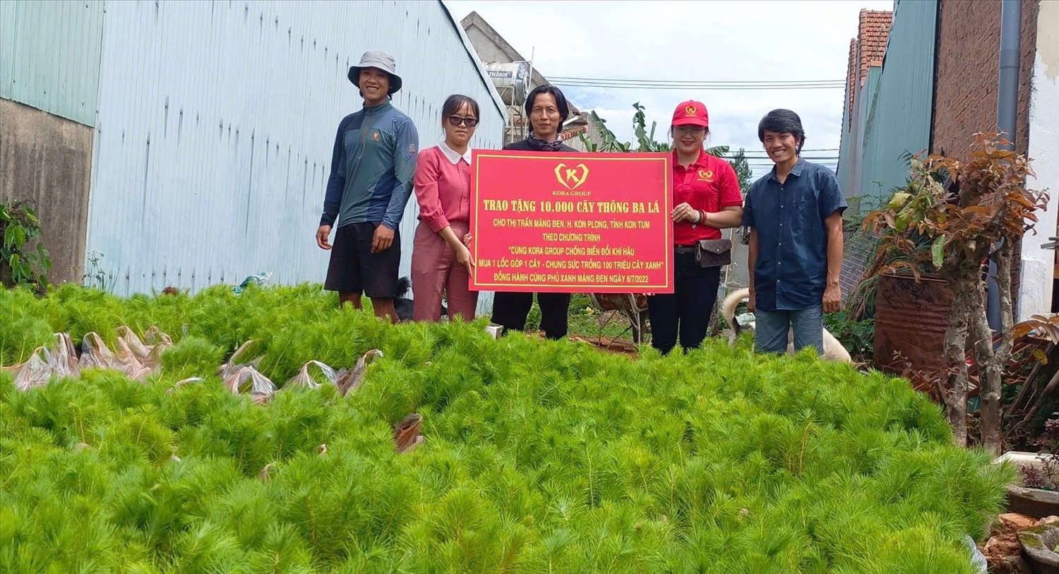Công ty Cổ phần Kora Group tặng cây thông giống cho các địa phương nhằm phủ xanh đất trống, đồi núi trọc. (Ảnh: Ngọc Chí)