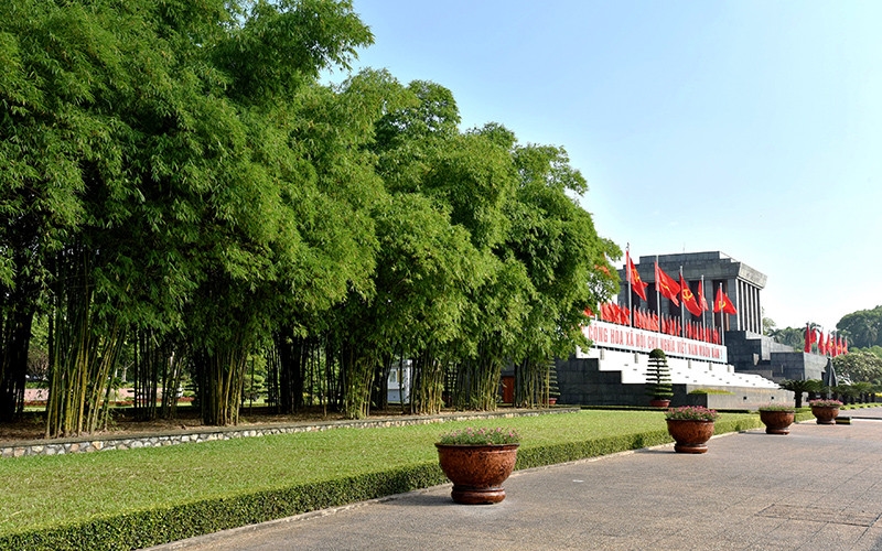 Rặng tre, luồng xanh tốt bên cạnh Lăng Bác. (Ảnh: PV)