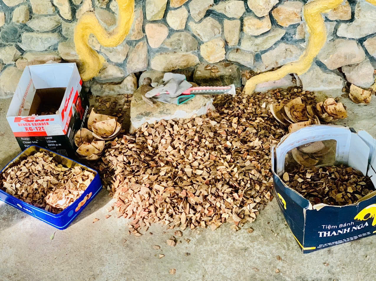 Vỏ gáo dừa được phơi, sơ chế và đập nhỏ thành hàng vạn mảnh để gắn lên khung cá (ảnh: H.T)