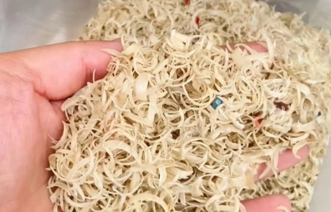  Tại sao móng tay người được thu mua giá cao tại Trung Quốc?