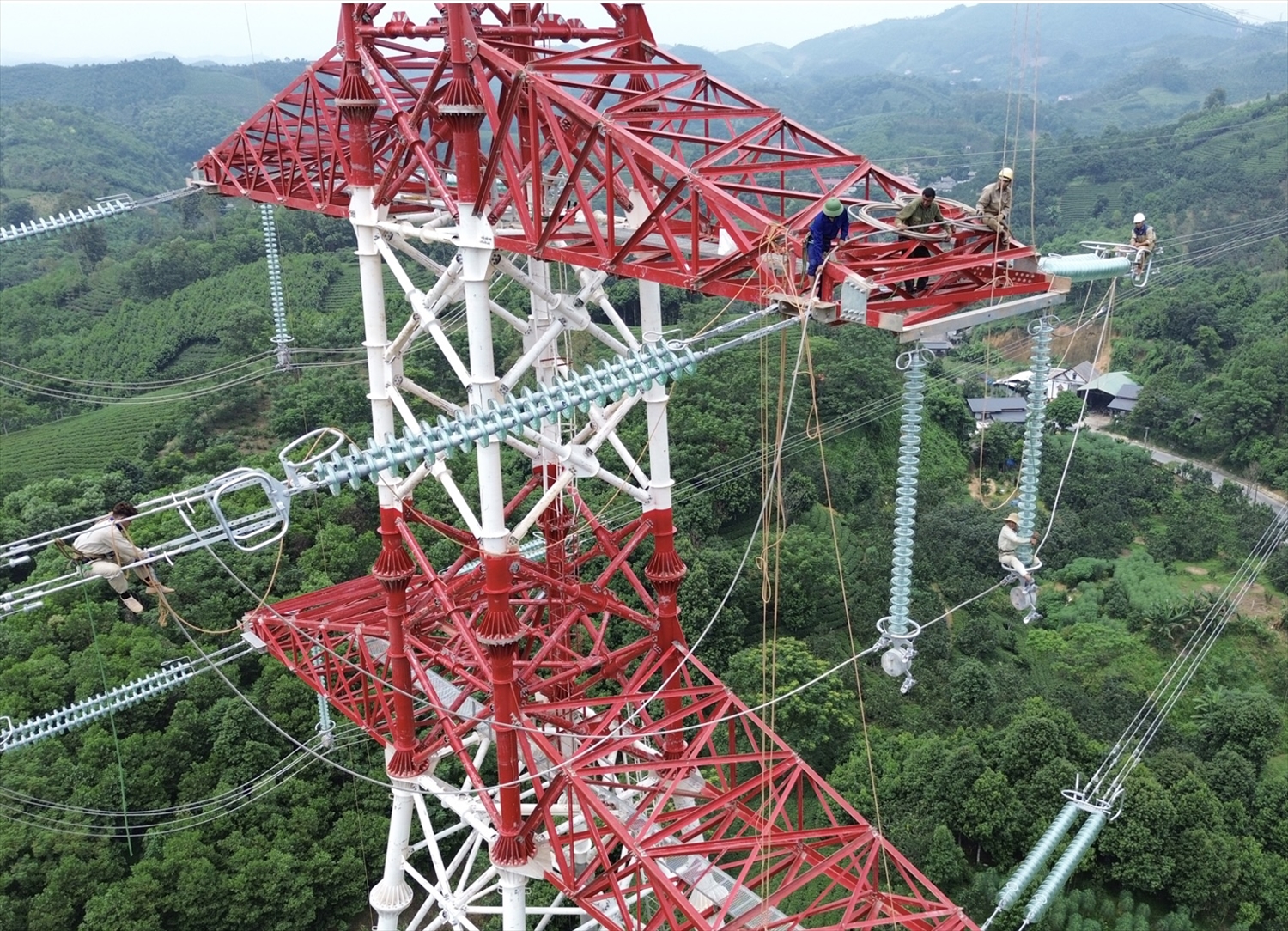 Kỹ sư lắp đặt cáp vị trí cột 267 địa phận thôn Trác Đà, xã Thác Bà