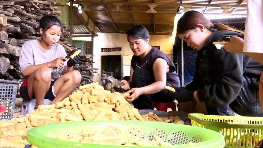 Tổ liên kết “Thu mua, chế biến măng le” do Hội Phụ nữ xã Đăk Pxi vận động thành lập thu mua hàng tấn măng tươi, chế biến thành sản phẩm khô tạo công ăn việc làm cho chị em phụ nữ. Ảnh N.H