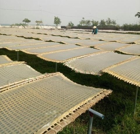 Phơi bánh tráng làm miến -Miến sâm Hưng Hiền, sản phẩm OCOP đạt chất lượng 3 sao