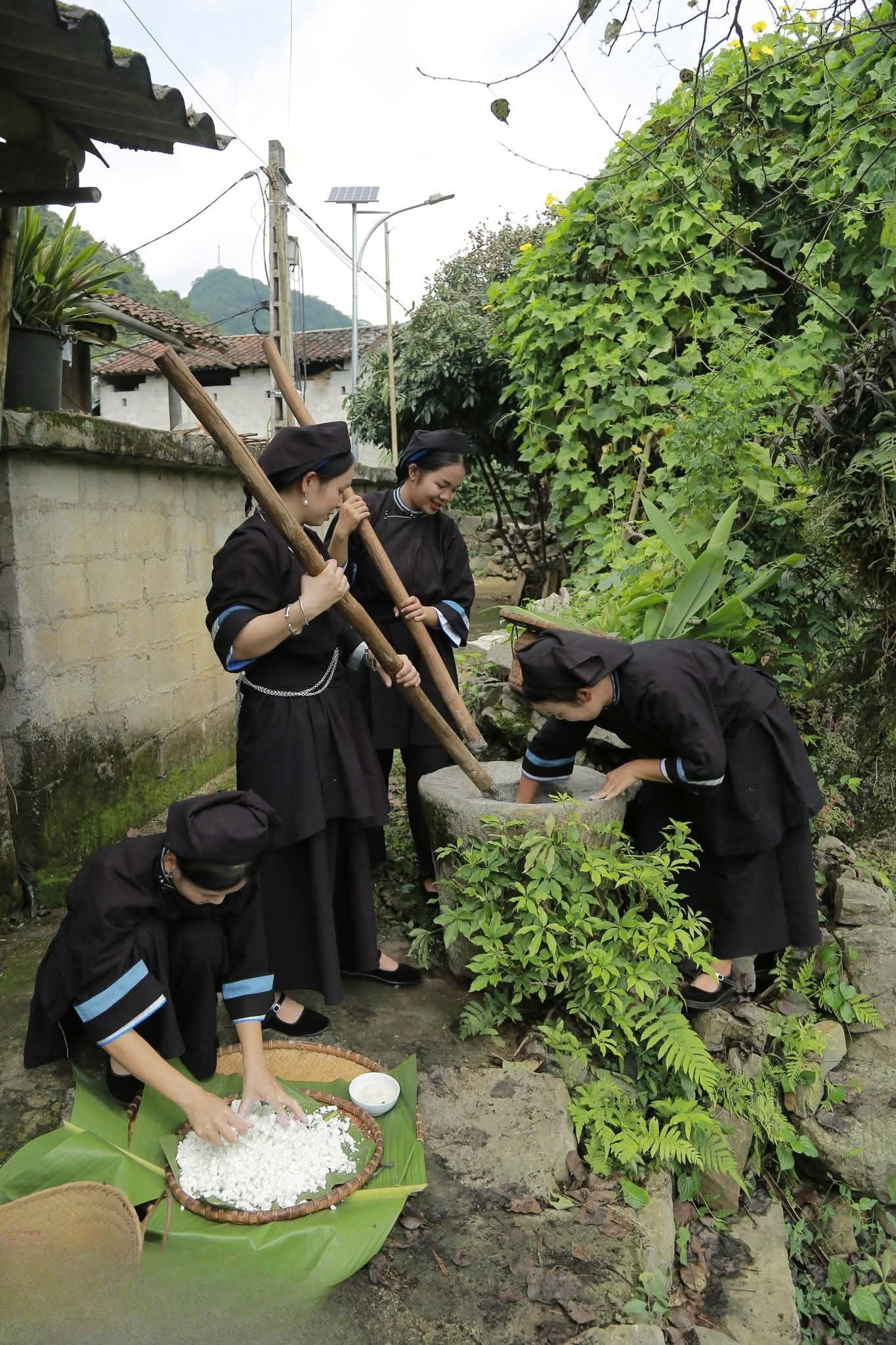 Thiếu nữ Tày giã lá gai, trộn với nếp tạo thành lớp bột xanh óng, dẻo thơm.