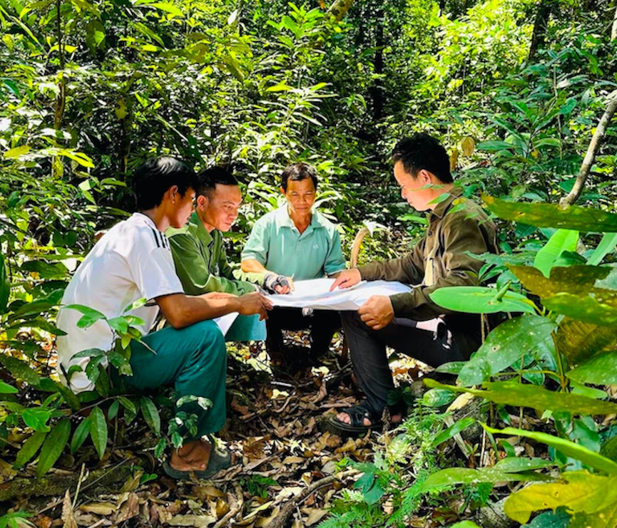 Cán bộ Ban Quản lý rừng phòng hộ Vân Canh kiểm tra diện tích rừng đã giao khoán cho người dân (Ảnh T.C)