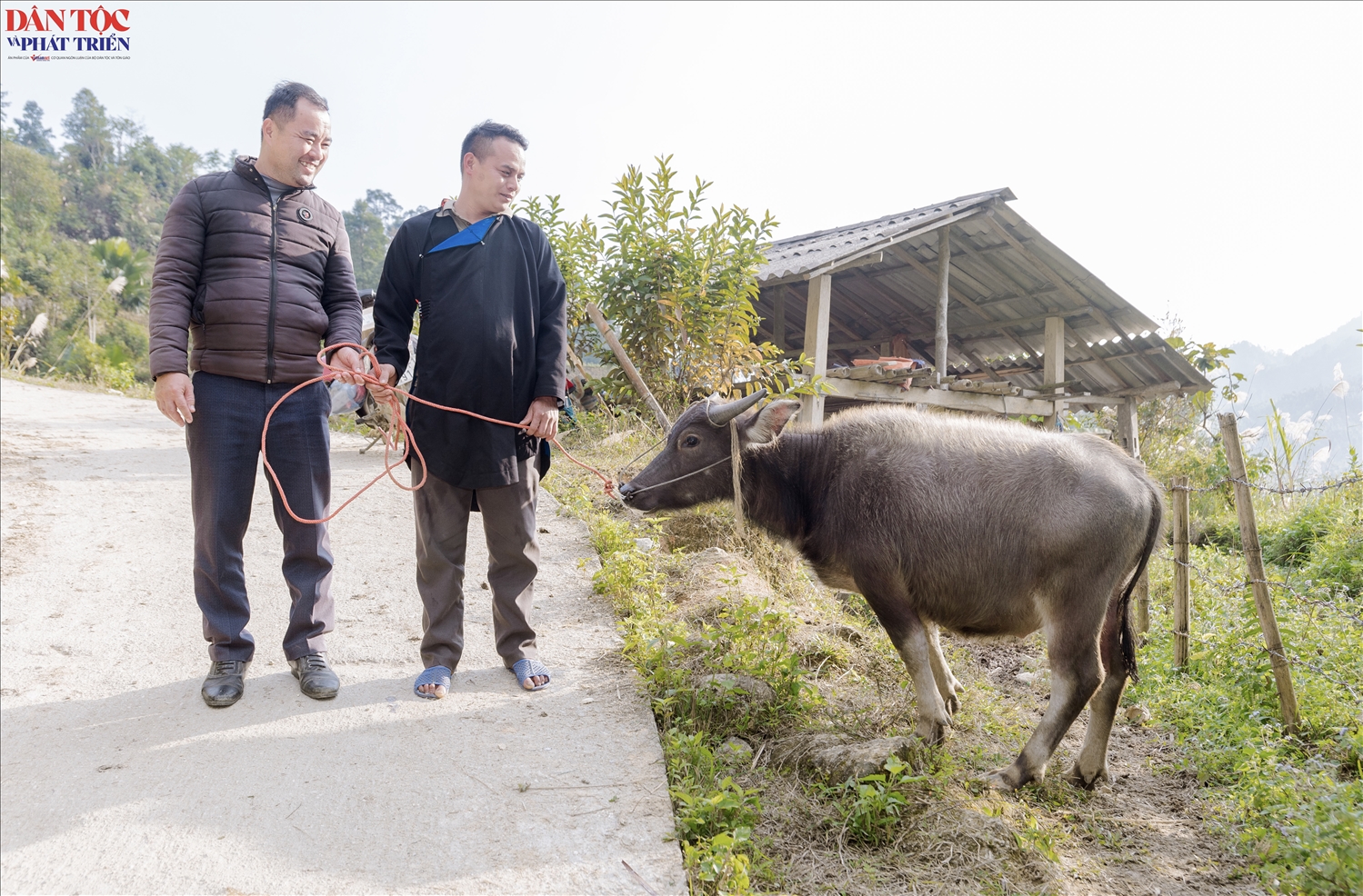 Cán bộ địa phương và anh Phàn Văn Piếu (bên phải) cùng chia sẻ kinh nghiệm về chăn nuôi trâu
