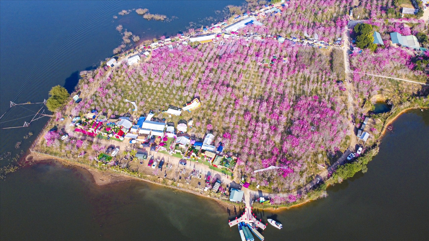 Mường Phăng thức giấc trong sắc xuân, nơi thiên nhiên và lịch sử hòa quyện.